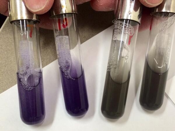 Synbiota's tweet image. Success!! We have VIOLACEIN!!! Look out for our exciting reveal with @genomikon, #scienceHack #openScience #SXSW