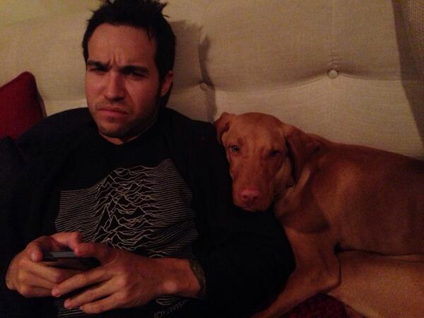 petewentz's tweet image. My side chick. He's a dude but I don't think that bothers either of us (dis my house of cards marathon face btw).