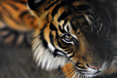 aguscolla2's tweet image. #REGGAEPOWER #problemsOFF