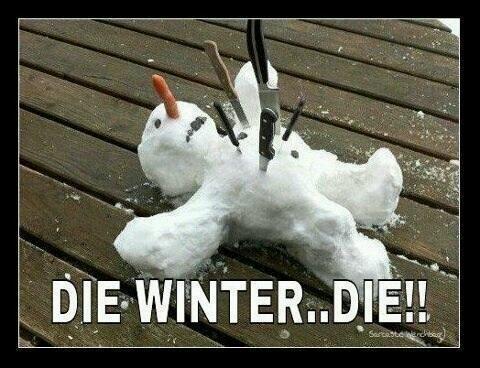CellarDoorFF's tweet image. Enough, winter. We get it already --GF #Ottawa #whenssummer #needsmoreknives