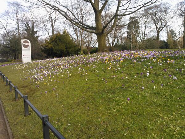 knownzena's tweet photo. Spring is coming, and making me happy on my way to work! @mac_Birmingham http://t.co/SYVX8uK1xW