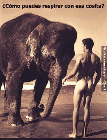 Colin79Colin's tweet image. Jajajajajajajajaja