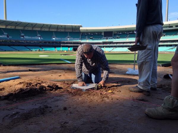 Murray Cook tweet media