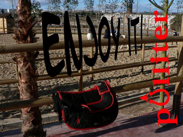 Pulliter's tweet image. We want to show you the PONY PULLITER SYSTEM, your kids also safe with it. Enjoy it!