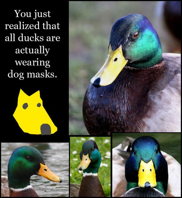 DougiePoynter's tweet photo. This image changed my life forever http://t.co/yu20lht0Gm