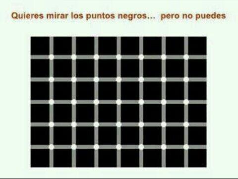 Pachy96 tweet picture
