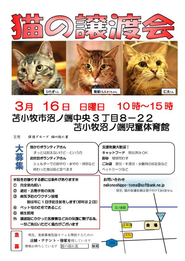 保護猫の里親探し 猫の隠れ里 בטוויטר 明日は譲渡会 10時 15時 沼ノ端中央3丁目８ ２２沼ノ端児童体育館 ですがナビは沼ノ端中央3丁目７ ２７とお入れ下さい 譲渡会 猫の譲渡会 猫の隠れ里 苫小牧 里親 里親募集 猫 ボランティアさん募集 Http T Co