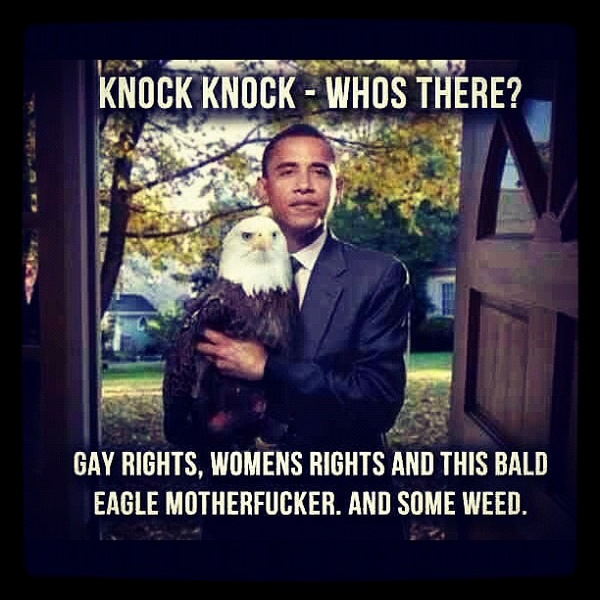 Vibe King tweet media