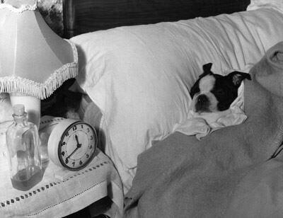 blancaje94's tweet photo. BUENAS NOCHES http://t.co/gRkWIpghxC