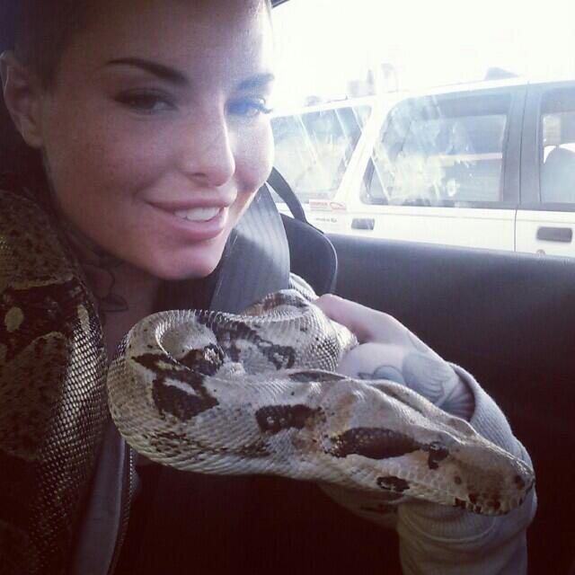 Guess who's gonna be a mama?! http://t.co/qbJujiaXn6<a href="/tag/bts"class="tags"><span>#bts</span></a>