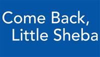 #greatvalue "Come Back, Little Sheba": Classic Domestic Drama tddr.us/t.aspx?t=OTM1O…