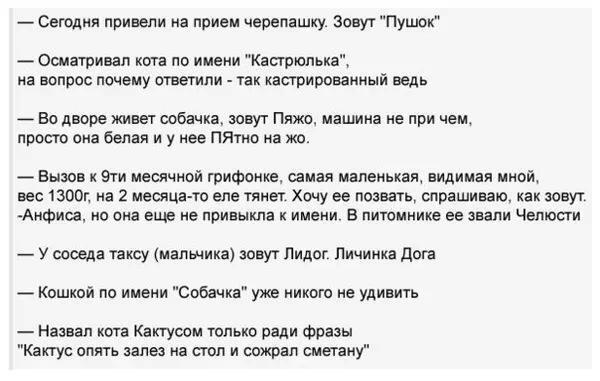 PR_AD_ASH's tweet image. Актуальные клички для питомцев;) особенно тронула кликуха для таксы