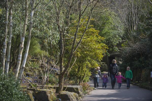 This Friday 7 March is FREE Day, enjoy the spring awakening. Get your voucher at rhs.org.uk/Gardens/Rosemo…