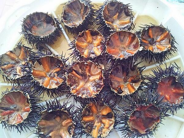 InsidePuglia's tweet photo. Un aperitivo made in #Puglia. 
Chi ha voglia di RICCI in compagnia? 

@pugliaevents @viaggiarepuglia http://t.co/6xxN6oki8t
