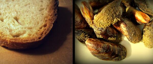 No, #Pane e #CozzePelose No!!! Poi come al solito mi #giralatesta, mi stordisco di #gusti..