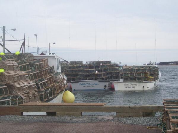 PEILobsterPromo's tweet photo. Setting Day on PEI is a big deal! First loads ready the night before! #PEI #PEILobster #yum http://t.co/Gk195MHwK6
