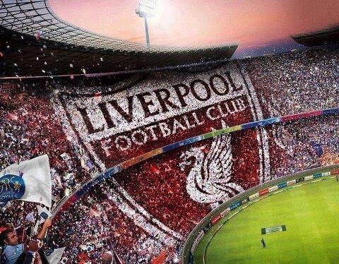 irishhitmen91's tweet photo. ALL LIVERPOOL FANS RETWEET THIS AND FOLLOW EACH OTHER FOR MORE #LFC FOLLOWERS #LFCFollowback #YNWA http://t.co/ikRqx5EUyC