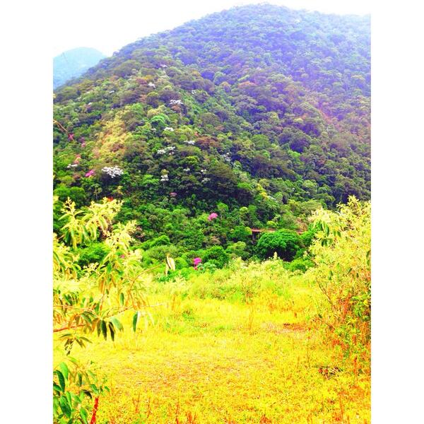 sabryna_ff's tweet photo. 🙏 http://t.co/oVDKXhUbMO
