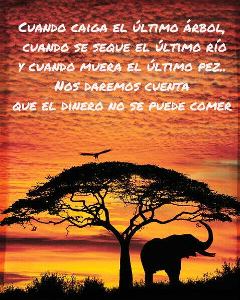 Buen fin de semana. ¡Cuidemos nuestro planeta!