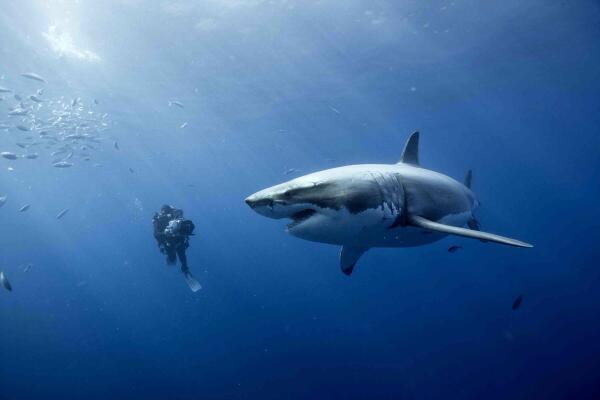 terrifyingposts's tweet photo. Terrifying to most, but not this guy. http://t.co/xOj4WFXZSp