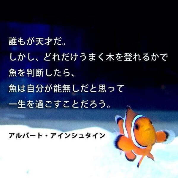 Azucena Manidou Twitter