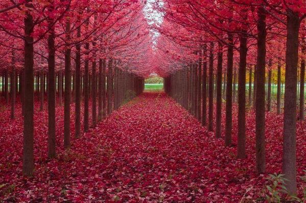 Beautiful Nature