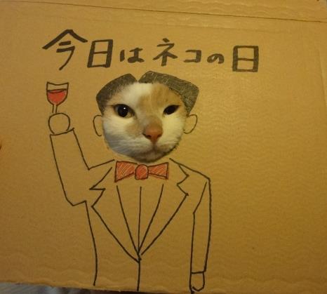 2月22日　猫の日おめでとうございます！ #猫の日