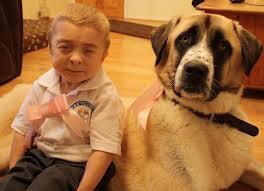 MascotasET tweet picture