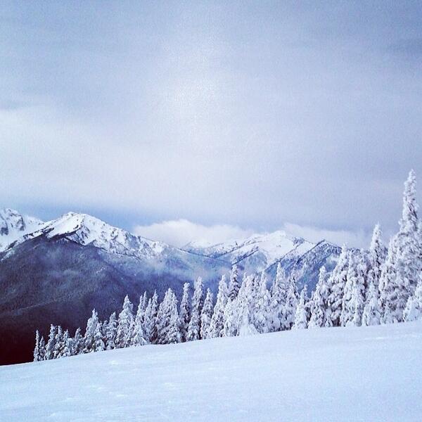 NatlParksPhotos's tweet photo. From the mountains.... #gowestseattle #snow #nationalparks by travelingwithmj http://t.co/cSVJ6q8963
