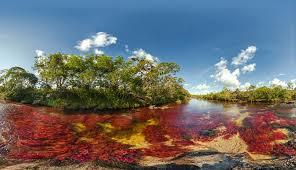 EsdrasRamirez1's tweet photo. #LoBuenoDeColombia son sus paisajes y disfrutarlos en un #FelizSabadoColombiaQuerida @TeoG29 @juanrobertovarg http://t.co/Quv9IQQGfp
