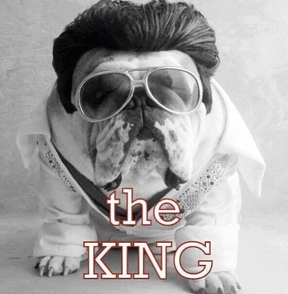 elaguashile's tweet photo. En este viernes eres el rey?? Te esperamos para tratarte como el rey q eres... @Coapa_ @TochoPrimeTime http://t.co/elmzbvxIzB