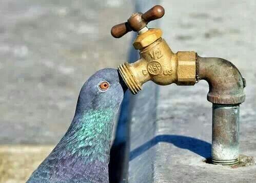 عطاالله ابوفيصل (@abofaisl123) on Twitter photo 