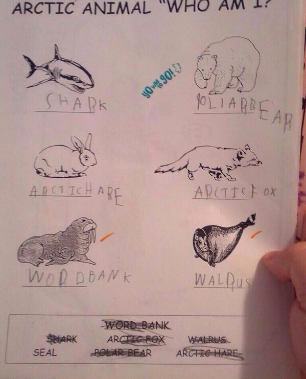 Typical White Girl tweet media