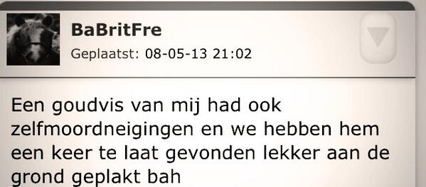 Eline tweet media