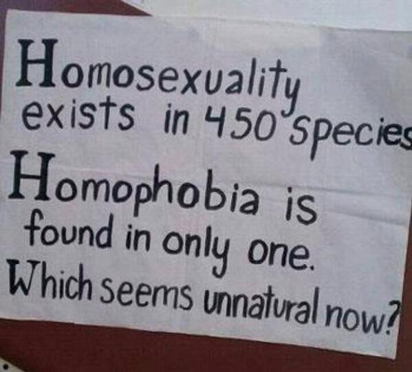 LGBT Pride Pics (@gaypridepics) on Twitter photo 