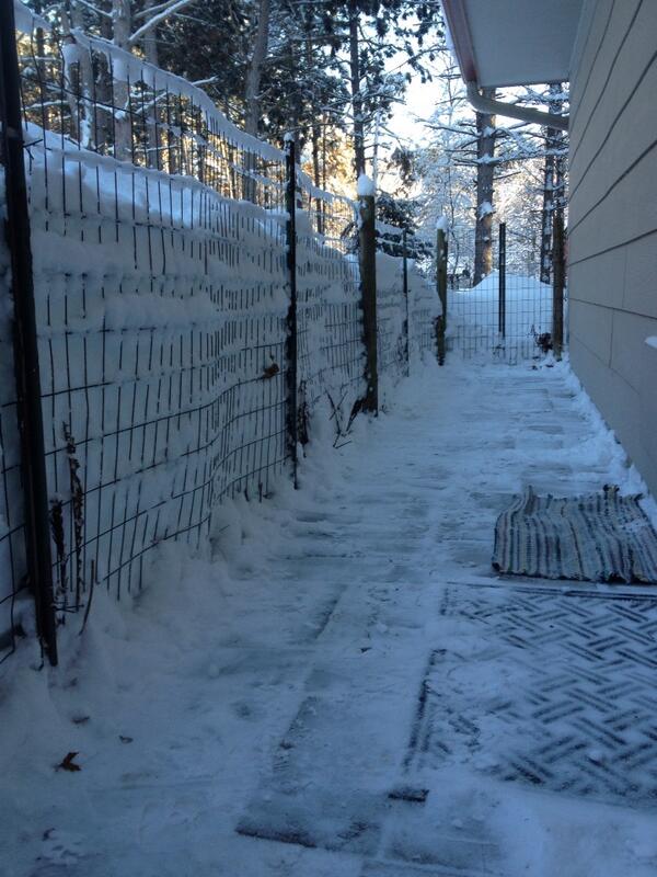 Mnbaker1007's tweet photo. The view for the dog #snow http://t.co/6YM6c7Wegi
