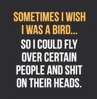 GuideStylelook's tweet image. La pensée du jour 👌