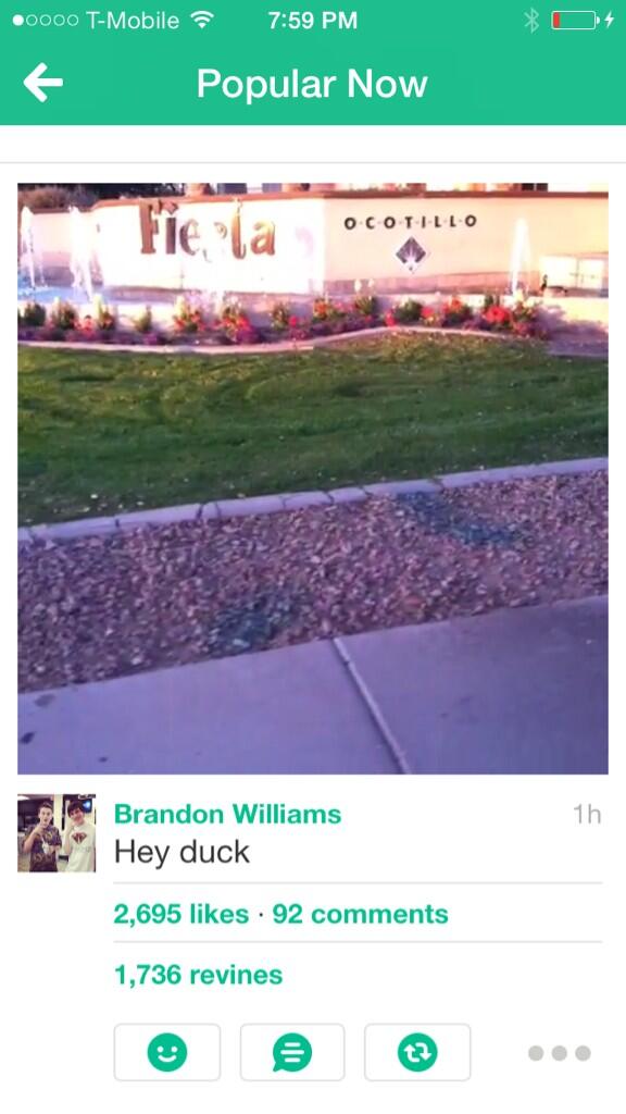 basedwbu tweet picture