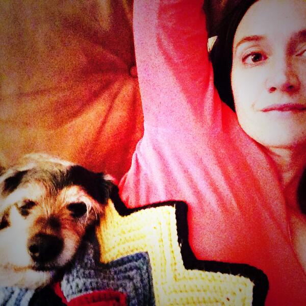 sharp_attack's tweet image. Ira's spent from his first day at the new office. #sleepytime #avl #wavl