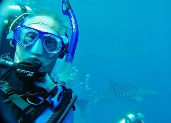 And 2 good to be true happy birthday present for Ralph Gray's 75th: a whale shark (his first one) !