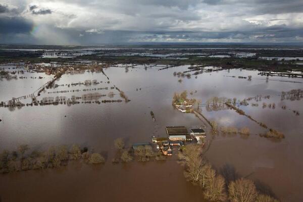 Our farm 2 weeks post evacuation