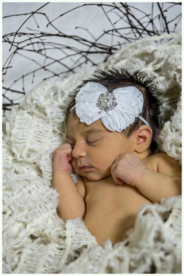 ERiveraPhoto's tweet photo. My beautiful newborn niece Emilia. Fssed a bit but we got through it.  Lol. More coming soon.  #PhotoshootFriday http://t.co/G7TMefrWAl