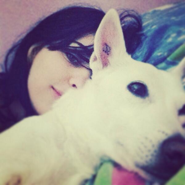 cocoadcoco's tweet photo. "@Hanadi_wski: I see you , #goodmorning i like my dogs tattoo. Its a ф lol http://t.co/Qkp0FZEszw"Gm
