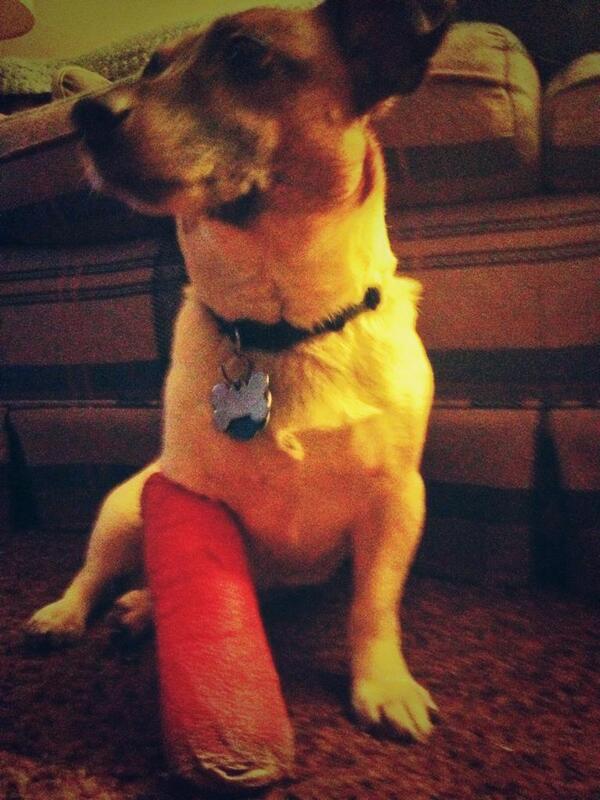 JesterRussell's tweet image. Wore a hole in my cast. Hopefully I get it off tomorrow!