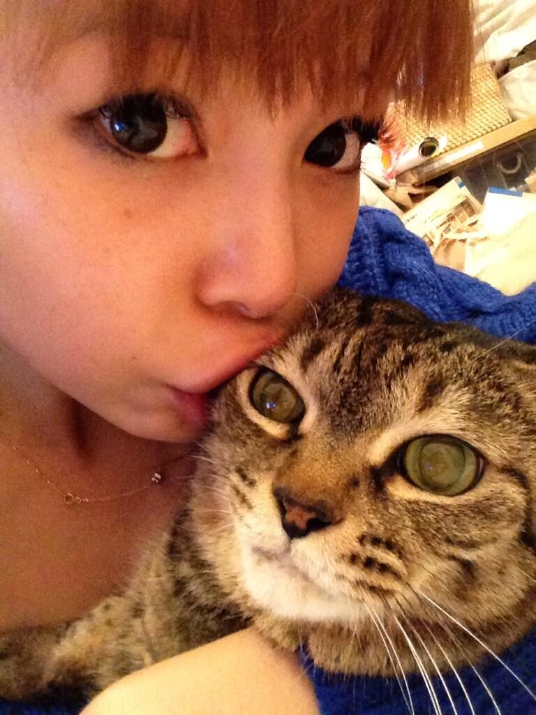 ⭐︎みゆう⭐︎のびねこ他⑤ 飴田あざみ on X: 