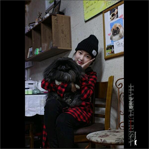 BhEMNbeCEAAeGtI.jpg:large