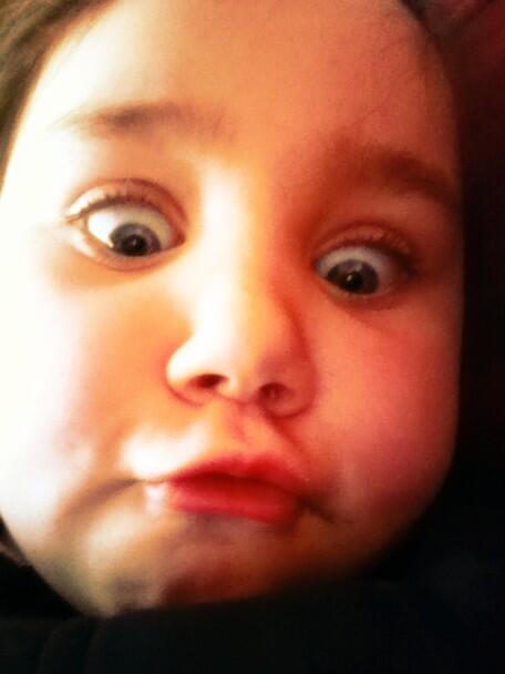 SarahmoAmber's tweet image. LOL