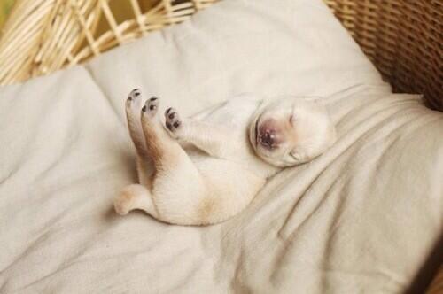 The first stretch you make in the morning .... #welovesaturdays