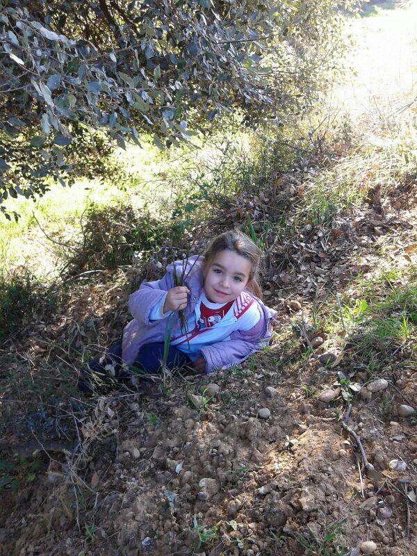 festhotu's tweet photo. Primers #esparguls de temporada http://t.co/2Vr0kWFOgo