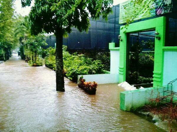 Semoga cepet surut banjirnya